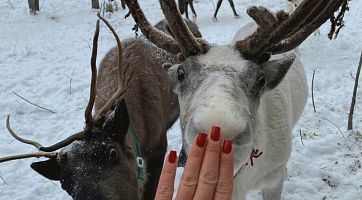 Новогодний тур «В гостях у северного сияния» (завершен), 5 дней и 4 ночи