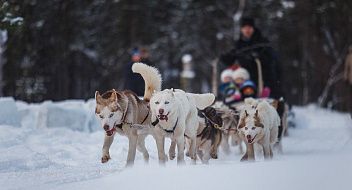 Лесная Елань