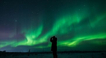 Гастро-тур «Зимние китовые приключения под северным сиянием», 4 дня и 3 ночи